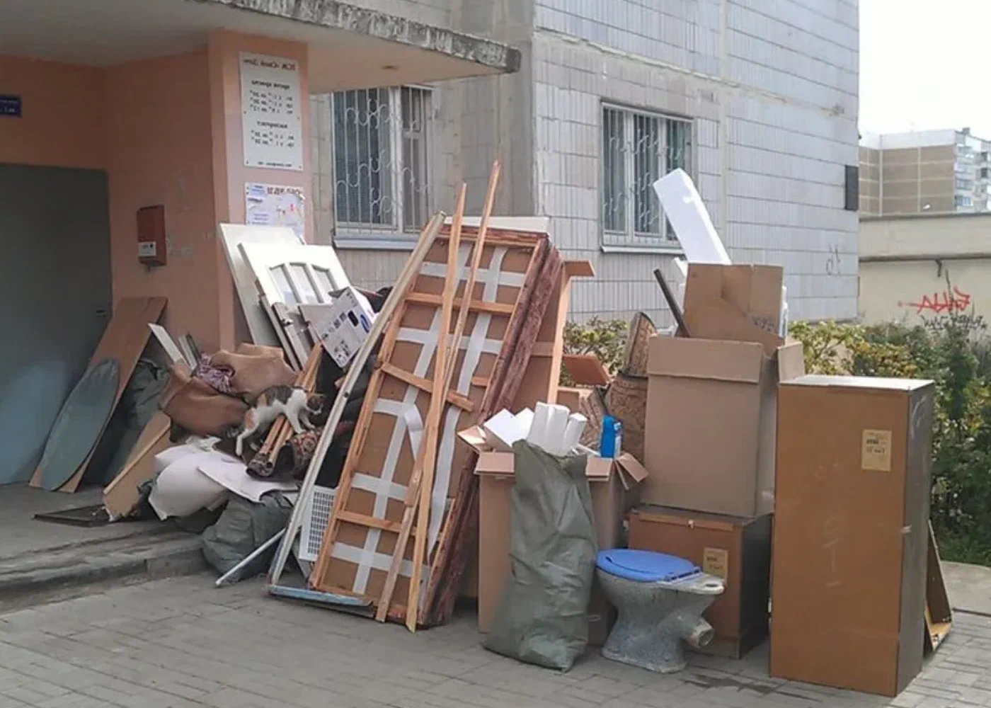Профессиональный вывоз мусора из квартиры в Новомосковске в октябре
