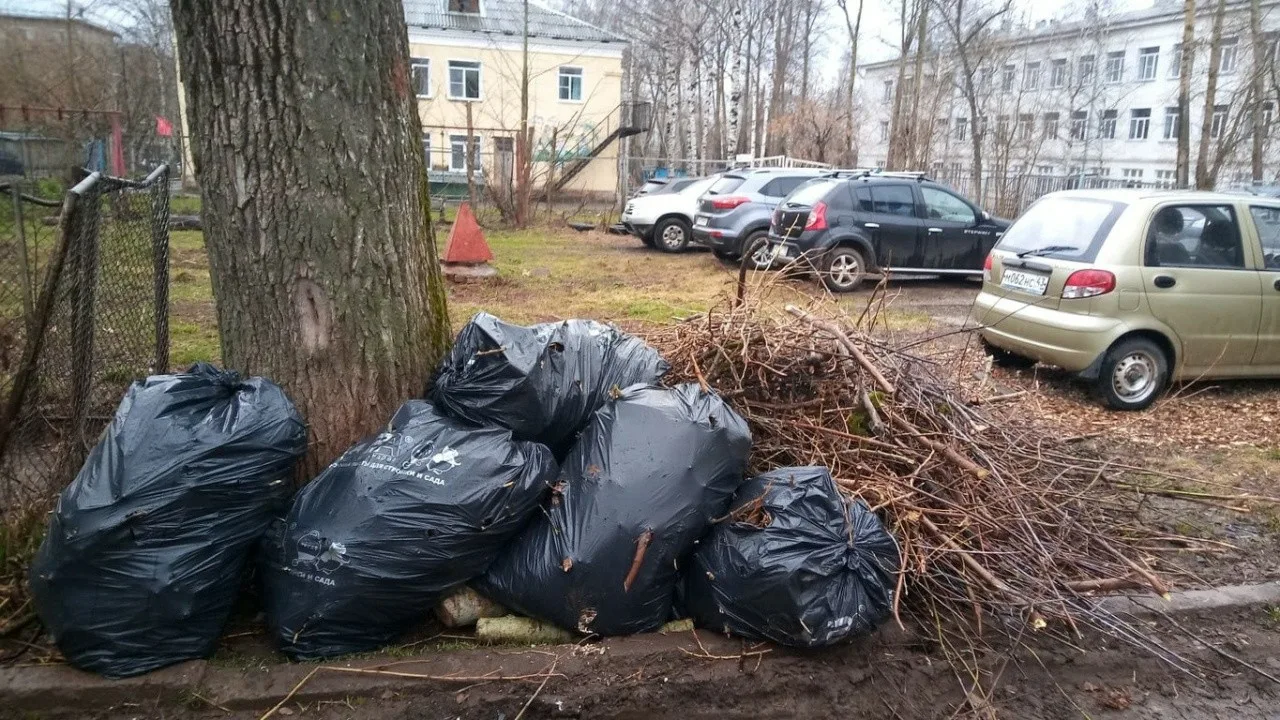 Вывоз мусора после субботника в Новомосковске от ПроМусор – уборка и утилизация отходов от 2426 руб