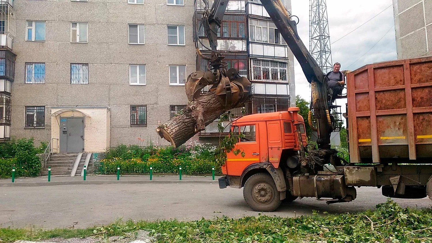 Вывоз спиленных веток и деревьев в Новомосковске от ПроМусор: порубочные остатки, утилизация, цена от 2994 руб