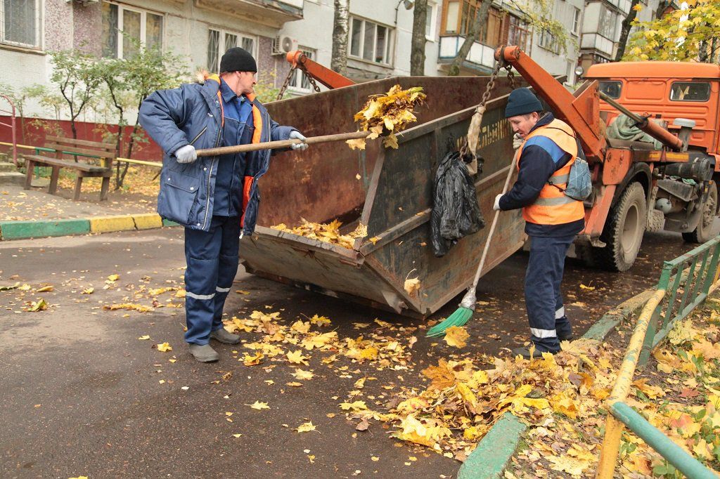 Вывоз опавшей листвы и растительного мусора в Новомосковске от ПроМусор – цена от 4646 руб., быстрая уборка и утилизация